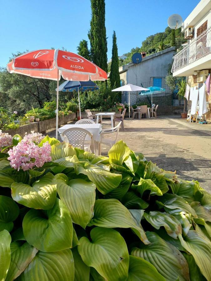 Apartments Andjus Sveti Stefan Exterior photo